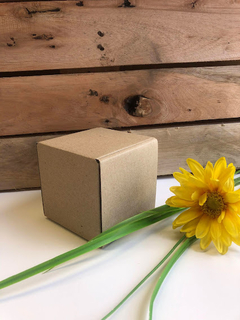 CAJA 11X11X11CM- MULTIPROPÓSITO A- 3025 - comprar online