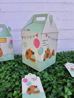 CAJA CAPYBARA MINI MALETIN 14x10x10CM- 1045A en internet
