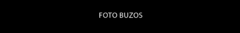 Banner de la categoría Buzos