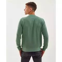 Buzo Paine | Taverniti en internet