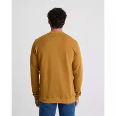 Buzo Paine | Taverniti en internet