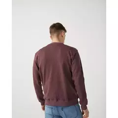Buzo Paine | Taverniti en internet