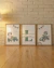 Set personalizado x3 Cuadros de 20x30 cm (medida interna) Mapache Autitos
