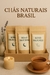 Kit Com 03 Chás Para Dormir | Sono Profundo - comprar online