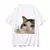 camiseta meme gato Triste na internet
