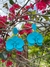 ARETES ORQUIDEA en internet
