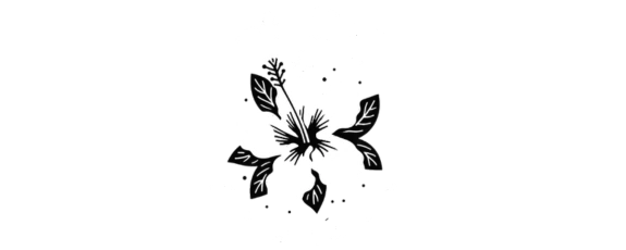 Flor de Jamaica | Raiz Roja 