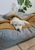 Cama Antidesgarre para mascotas - Dn-Store