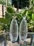 Aceitera y vingrera vidrio pico vertedor 2 de 500cc C/U