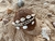 Pulseira conchas do mar - Estamos Wild