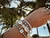 Pulseira Onda Serena - comprar online