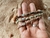 Pulseira Guardiana - Estamos Wild