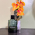 Decant Paco Rabanne Pour Homme - comprar online