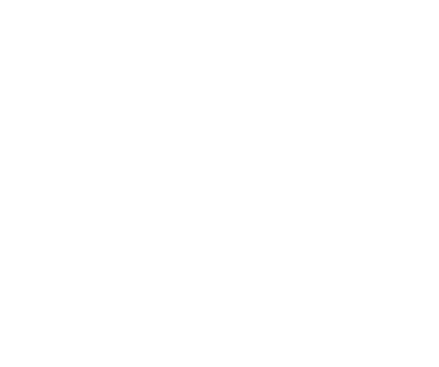 Salva Bazar