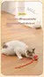 Imagem do bola interativa para pets