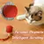 bola interativa para pets na internet