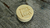 Sapone da barba