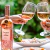 CASILLERO DEL DIABLO Rose - Luckywine Argentina