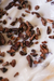 Nib's de Cacau Hau Lata 225g - comprar online
