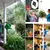 Gancho Retrátil Ajustável para Plantas - GreenGrip - Offers Plus