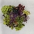 Adornos de uvas em vidro. - Marco Grilli Objetos de Arte