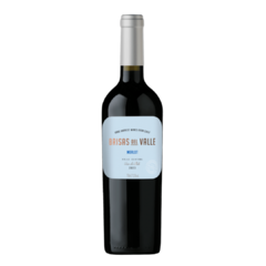 Vinho Tinto Brisas del Valle Merlot 750ml - comprar online