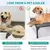 Cama Elevada para Cães e Gatos – Respirável, Lavável e Ortopédica