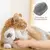 Escova Auto-limpante para Pets - loja online