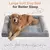 Cama Luxuosa de Alta Qualidade para Cães e Gatos na internet