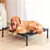 Cama Elevada para Cães e Gatos – Respirável, Lavável e Ortopédica - loja online