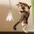 Brinquedo Vara com Pena para Gatos na internet