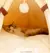 Imagem do Ninho Tenda para Pets – 100% Algodão