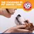 Kit Odontológico para Cães - Abdu Online