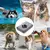 Toalha de Banho de Microfibra para Pets na internet