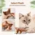 Pardal Dançarino – Brinquedo Interativo para Gatos na internet