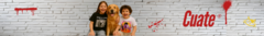 Banner de la categoría Kids