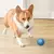 PulaPet - Bola Interativa com Movimento Automático para Cães - comprar online