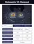 Brincos Moissanite 3ct - loja online