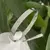 Bracelete Luxo Detalhes Em Zircônia na internet