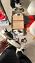Nike Jordan Cactus - comprar online
