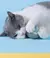 Imagem do bola interativa inteligente para gatos interior automático rolamento