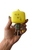 Funko Pop! Animation Hora da Aventura Adventure Time Lemongrab 53 - Oscorpop