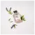 Imagem do Antonio Banderas Power of Seduction - Eau de Toilette