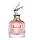 Imagem do Jean Paul Gaultier Scandal – Eau de Parfum Feminino