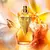 Jean Paul Gaultier Divine Le Parfum – Eau de Parfum - loja online