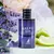 Alhambra Salvo Elixir – Eau de Parfum - loja online