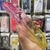 iPhone 11 Pro Funda 360 con cubre cámara en internet