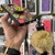 Motorola G7/G7 plus funda mandala con ponpon en internet