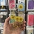 Oppo A12 Fundas Naturaleza Muerta - JL Case accesorios