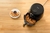 Fritadeira Elétrica Elgin Quick Fryer 4L 220V na internet